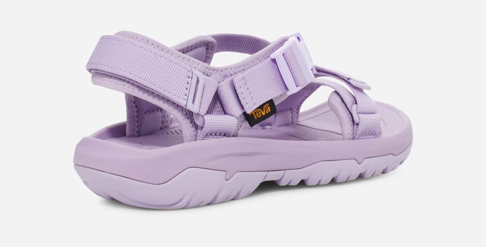 Men's Teva Hurricane Verge Hiking Sandals Purple | USA-2569