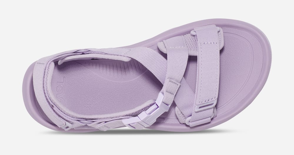 Women's Teva Hurricane Verge Hiking Sandals Purple | USA-7635