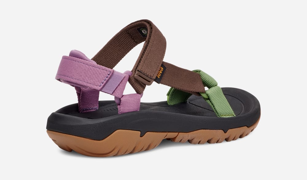 Women's Teva Hurricane XLT2 Hiking Sandals Multicolor | USA-1928