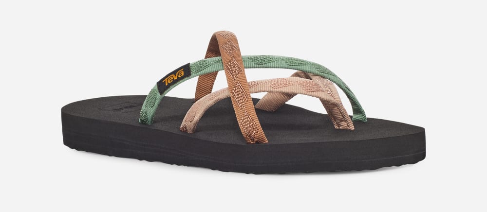 Women's Teva Olowahu Flip Flops Multicolor | USA-2516