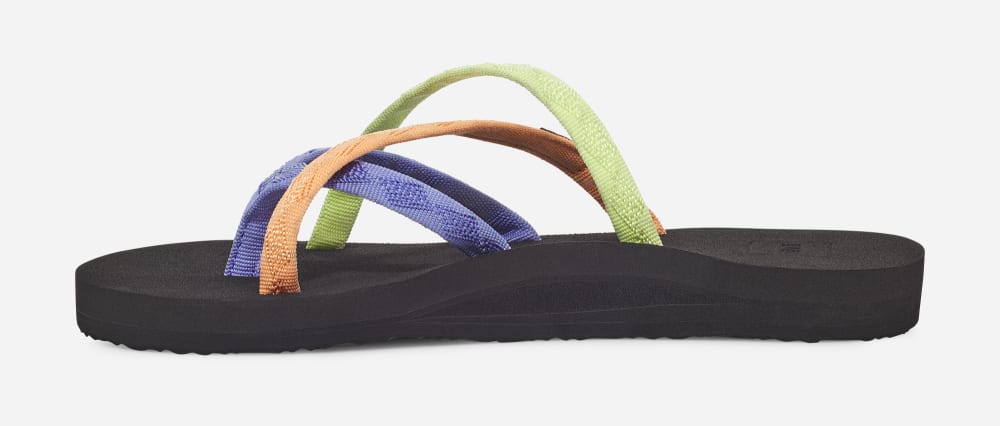 Women's Teva Olowahu Flip Flops Multicolor | USA-3124