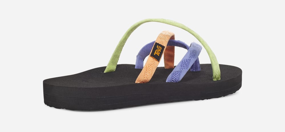 Women's Teva Olowahu Flip Flops Multicolor | USA-3124