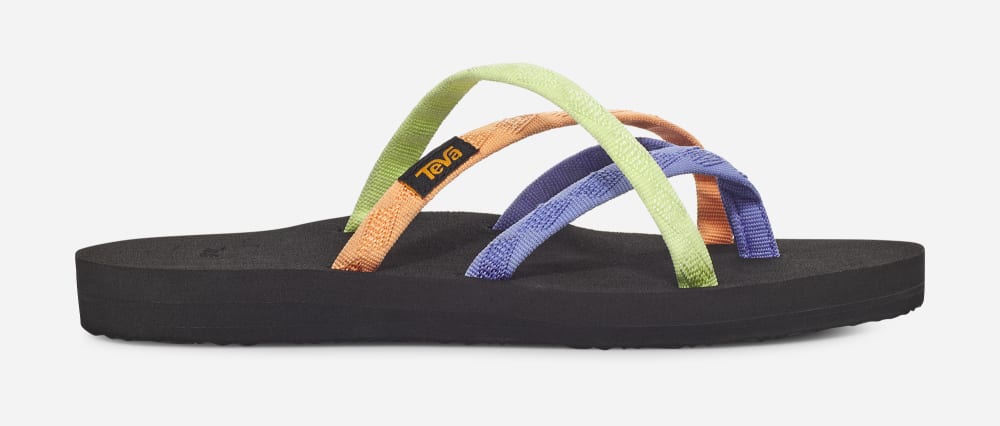 Women\'s Teva Olowahu Flip Flops Multicolor | USA-3124