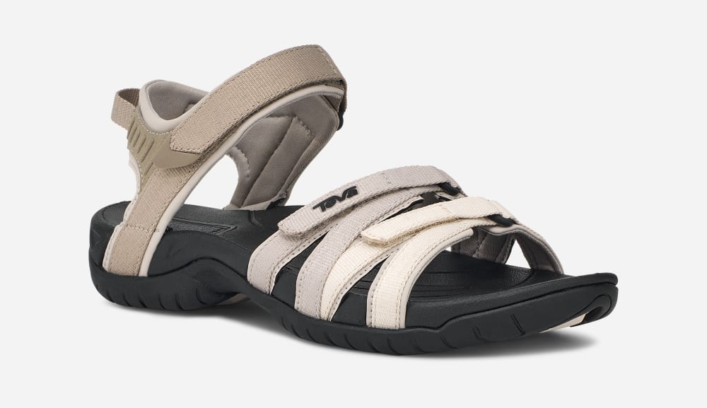 Women's Teva Tirra Hiking Sandals Black / Multicolor | USA-2519