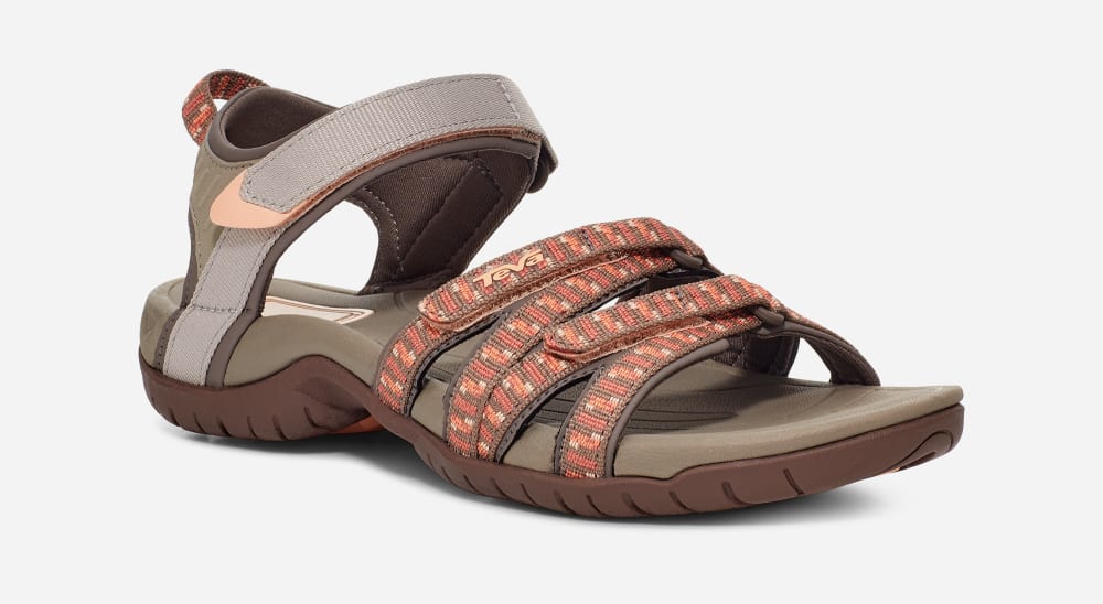 Women's Teva Tirra Hiking Sandals Brown / Orange | USA-1549