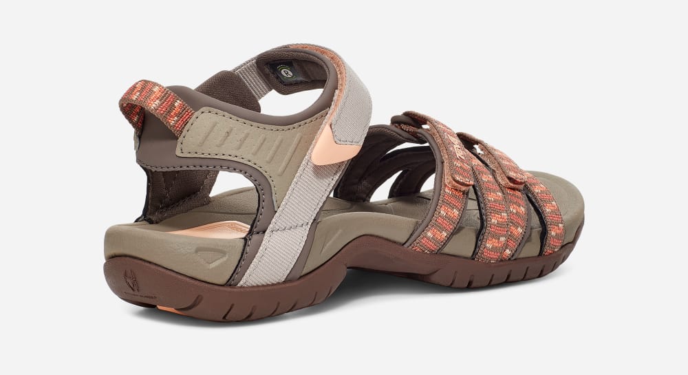 Women's Teva Tirra Hiking Sandals Brown / Orange | USA-1549