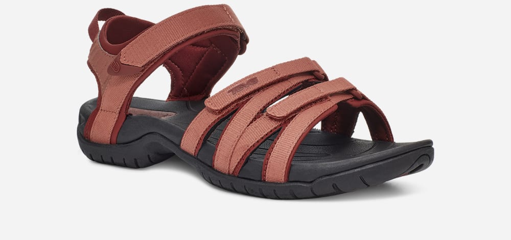 Women's Teva Tirra Hiking Sandals Claret | USA-4091