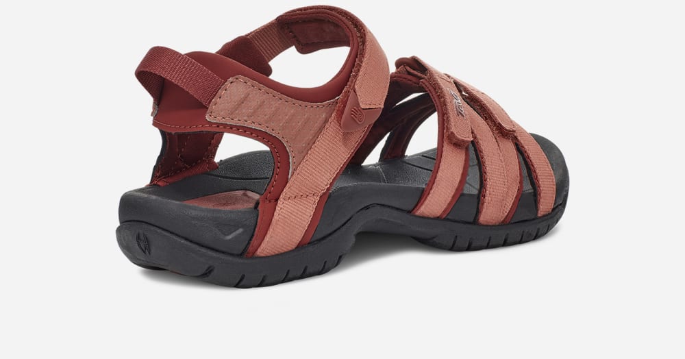 Women's Teva Tirra Hiking Sandals Claret | USA-4091