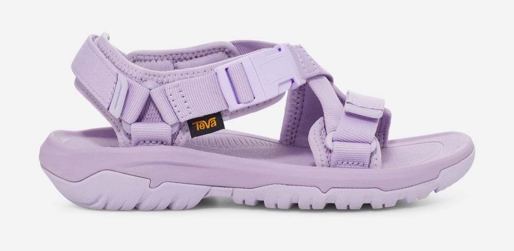 Men's Teva Hurricane Verge Hiking Sandals Purple | USA-2569